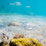Snorkelling na Korfu